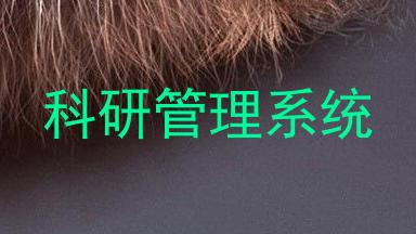 科研管理系统