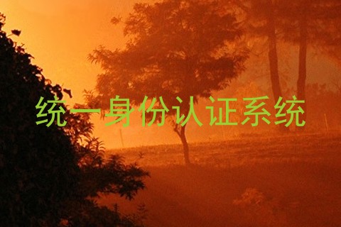 统一身份认证系统