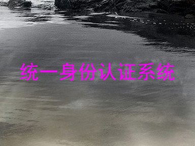 统一身份认证系统