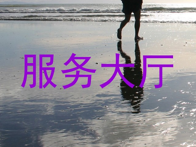 服务大厅