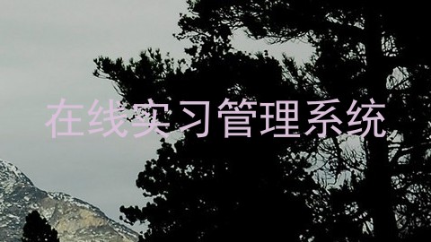 在线实习管理系统