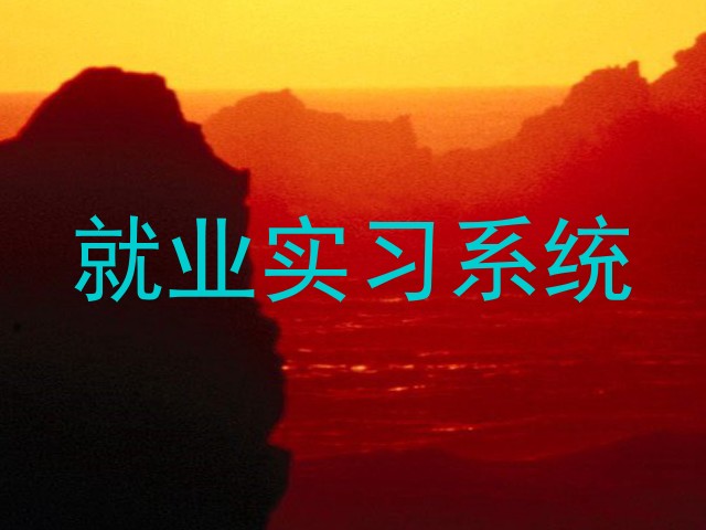 就业实习系统