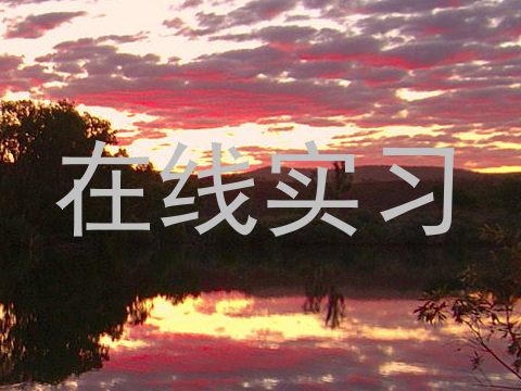 在线实习