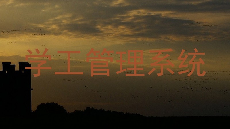 学工管理系统