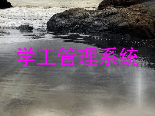 学工管理系统