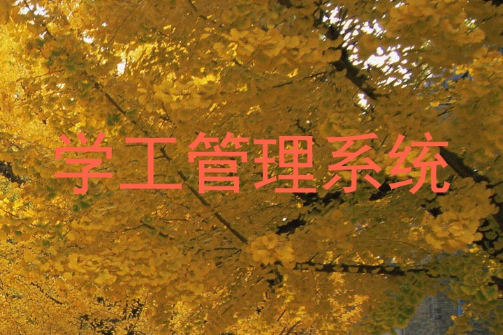 学工管理系统