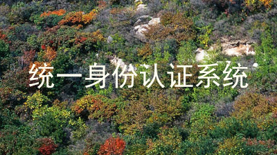 统一身份认证系统