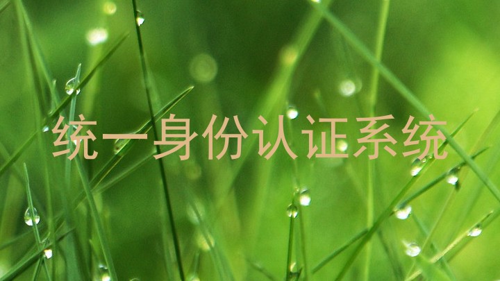 统一身份认证系统