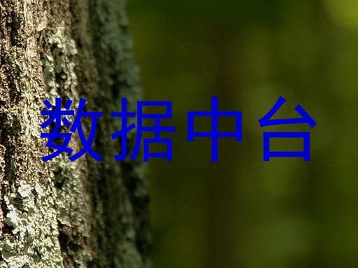 数据中台