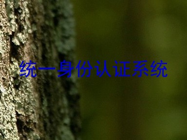 统一身份认证系统