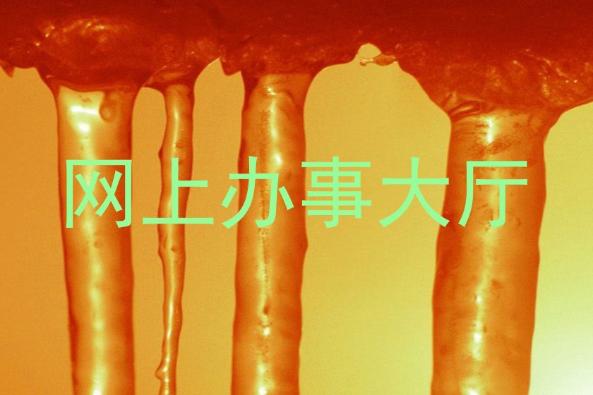 网上办事大厅