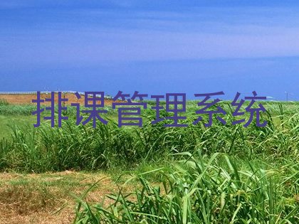 排课管理系统