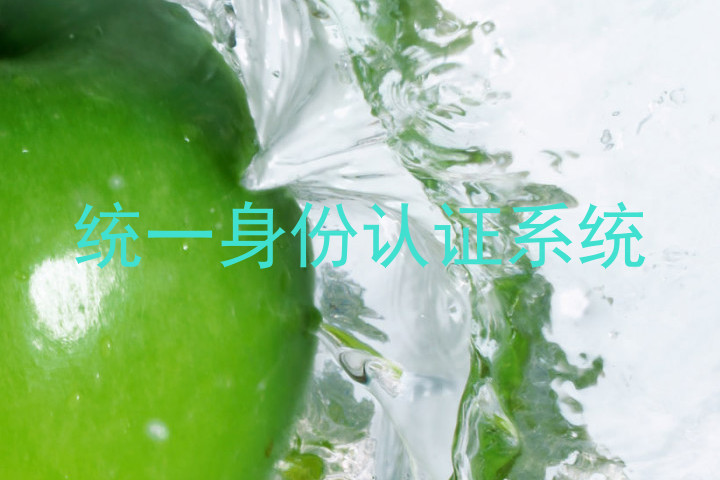 统一身份认证系统
