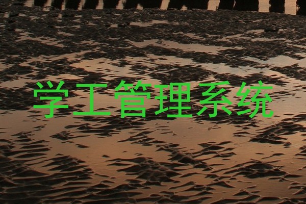 学工管理系统