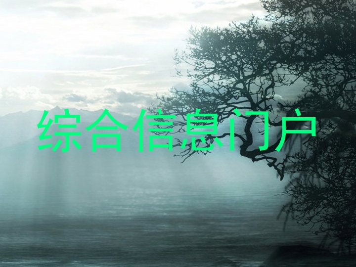 综合信息门户
