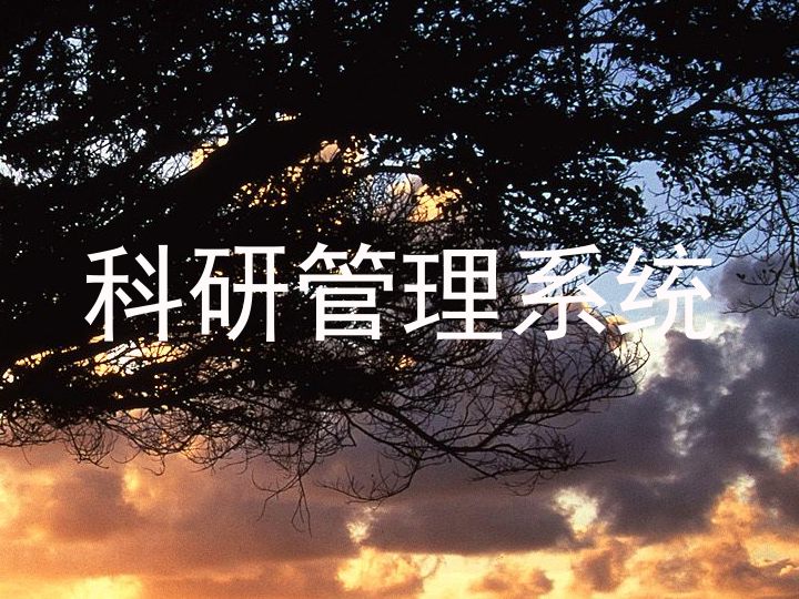 科研管理系统