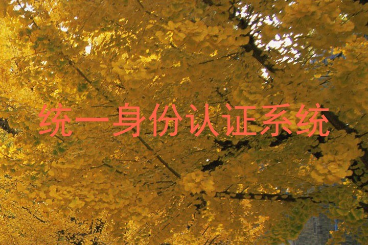 统一身份认证系统