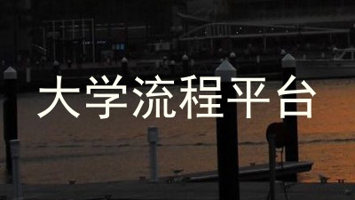 大学流程平台