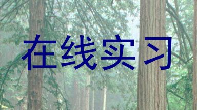 在线实习