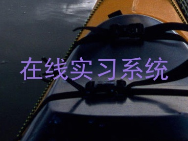 在线实习系统