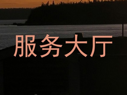 服务大厅