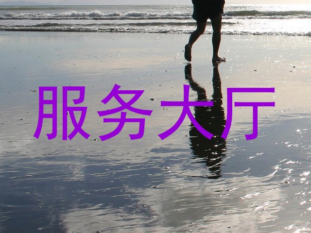 服务大厅