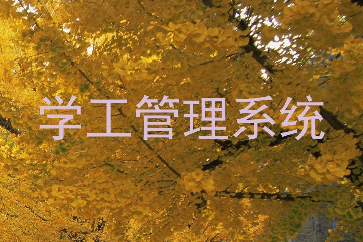 学工管理系统
