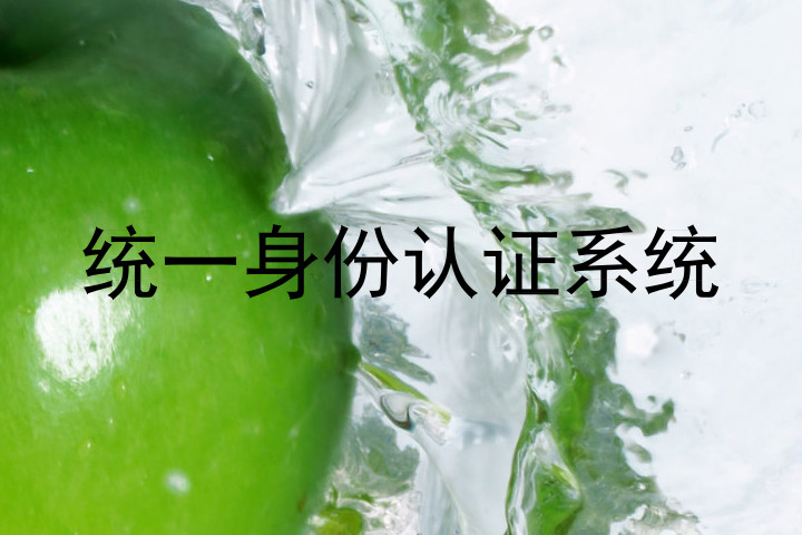 统一身份认证系统