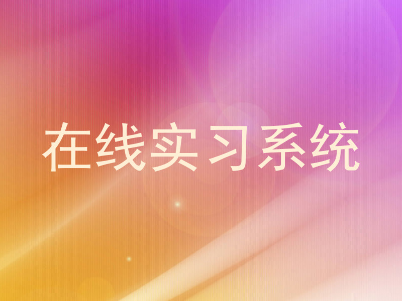 在线实习系统