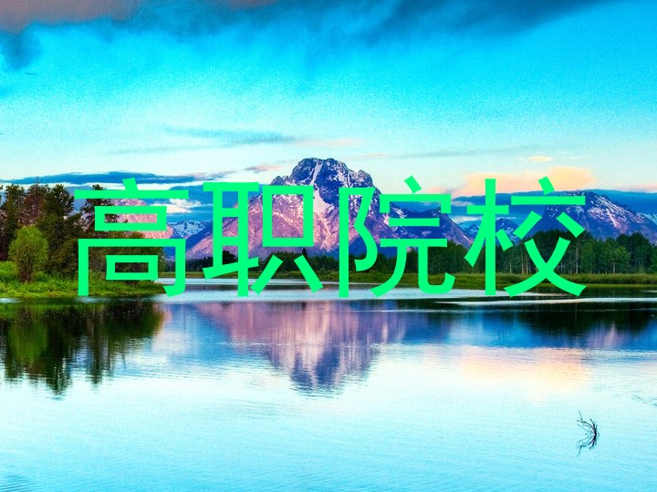 高职院校