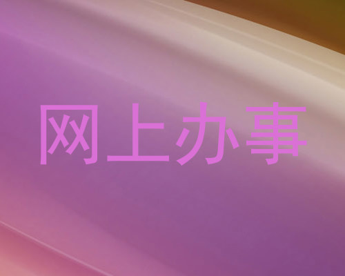 网上办事