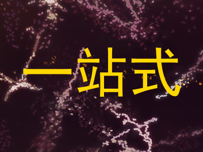 一站式