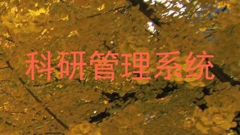 科研管理系统