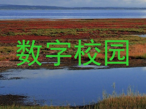 数字校园