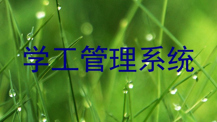学工管理系统