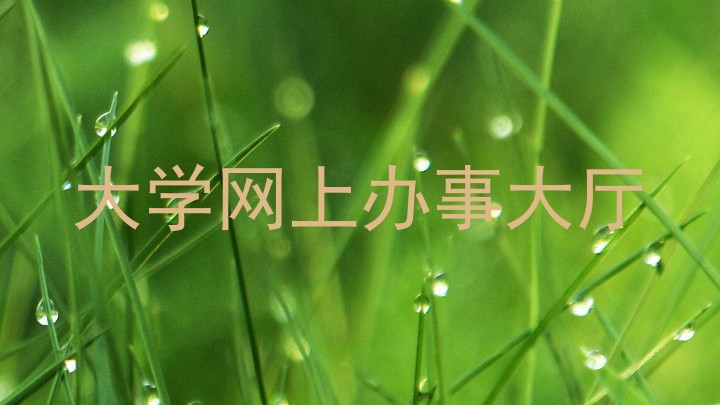 大学网上办事大厅