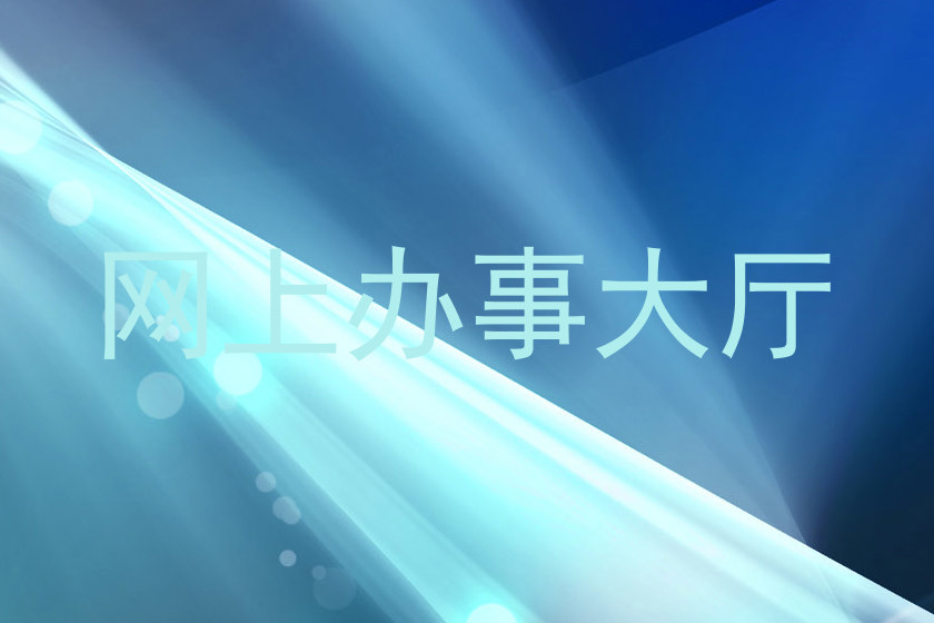 网上办事大厅