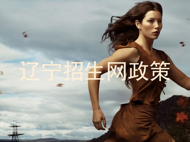 辽宁招生网政策