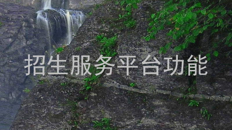 招生服务平台功能