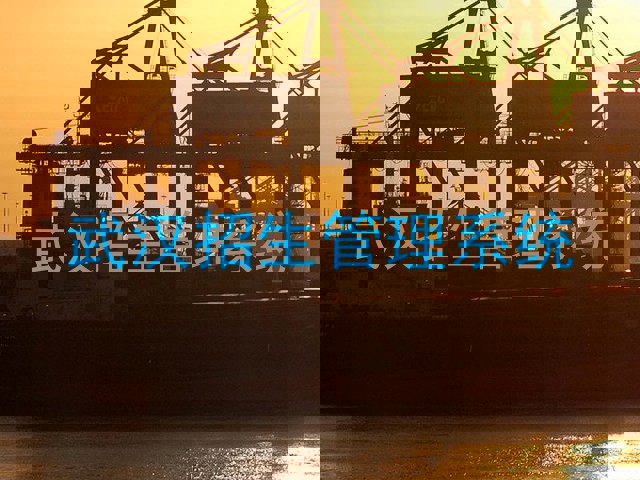 武汉招生管理系统