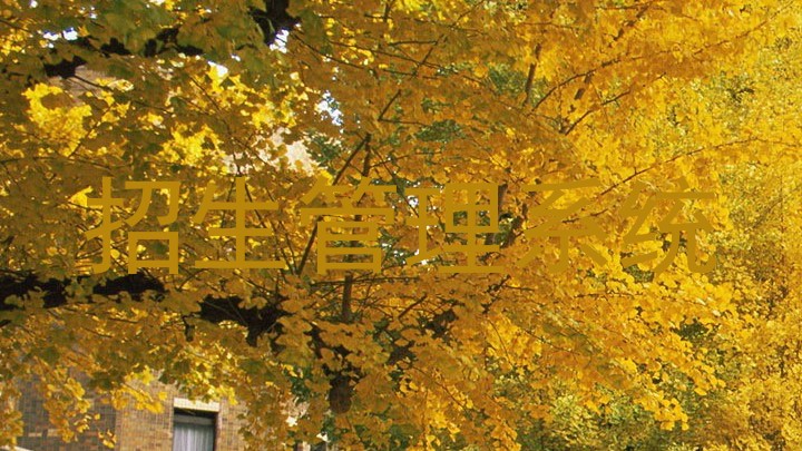 招生管理平台功能