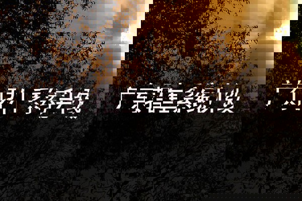 广东招生系统升级