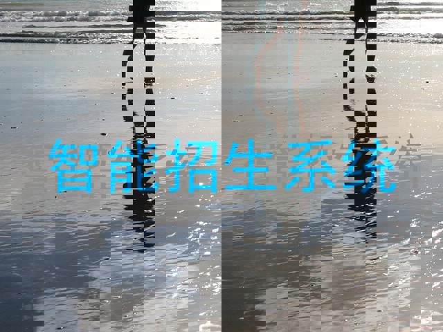 智能招生系统