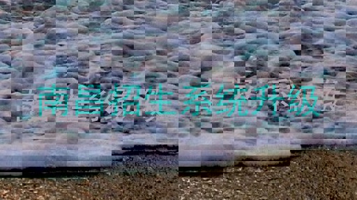 南昌招生系统升级