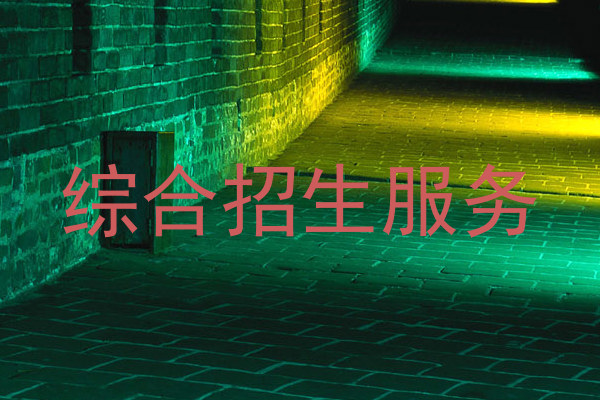 综合招生服务