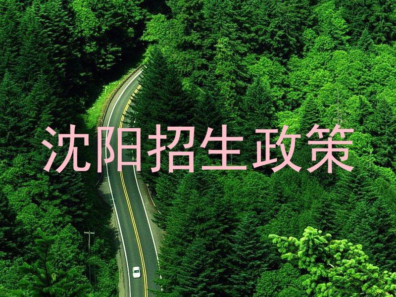 沈阳招生政策