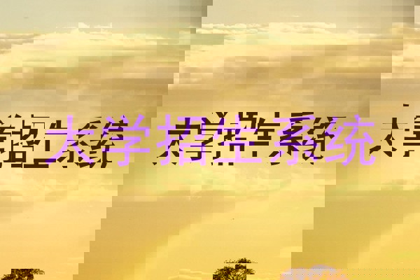 大学招生系统