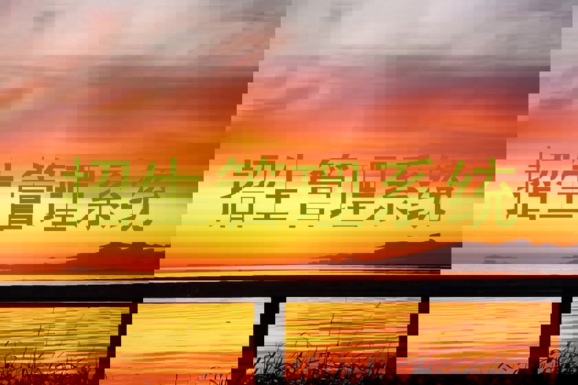 综合招生系统特点