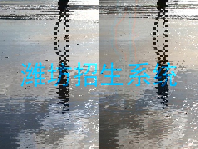 潍坊招生系统