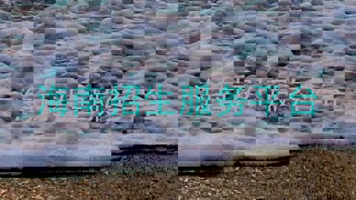 海南招生服务平台